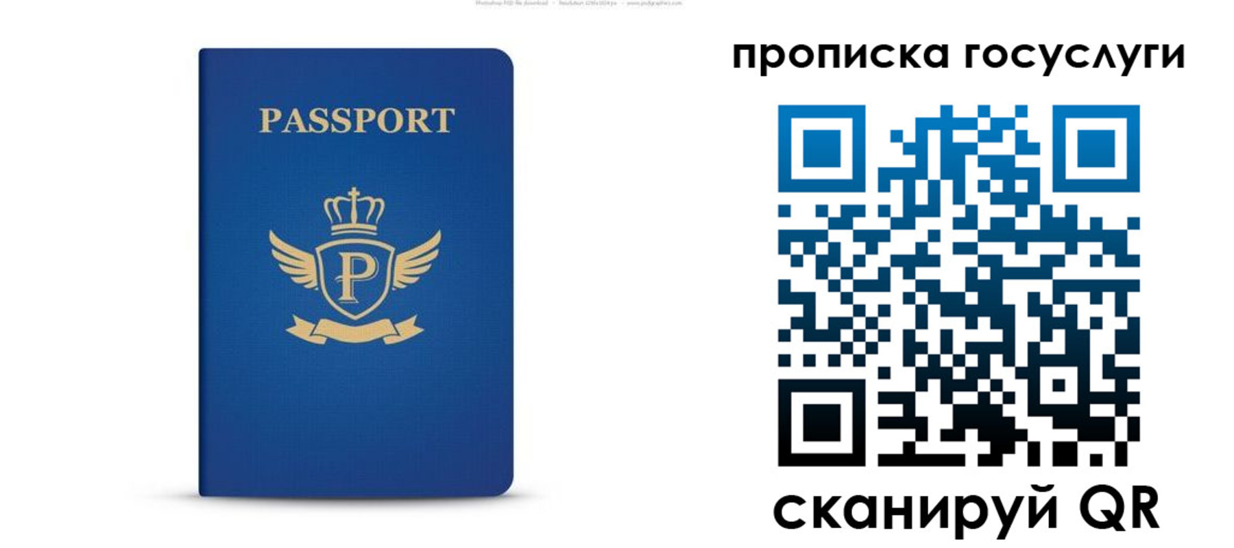 прописка для школы в Карабаново